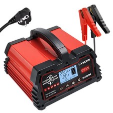 25A 12V 24V Auto LKW