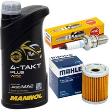 Öl Inspektion Set 1L für