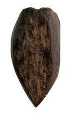 Neolithikum  Seltenes