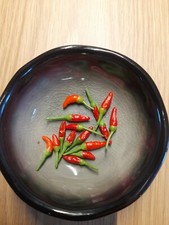 Bonsai chili oder mini - chili,