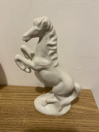 Weiße porzellan aufzucht - porzellan,