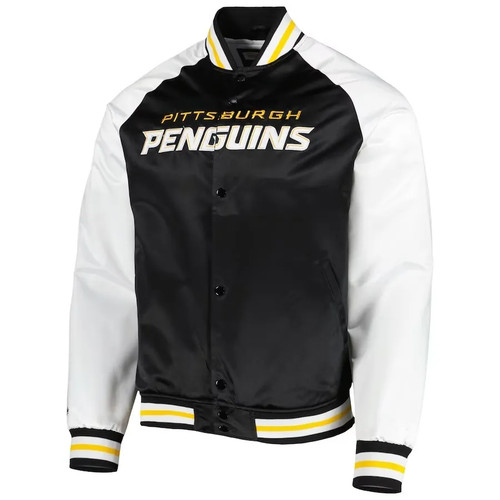 Pittsburgh penguins nhl - pittsburgh,