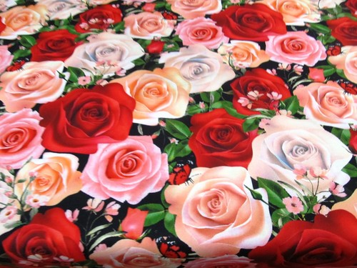 Rose rosen dirndel - rose,