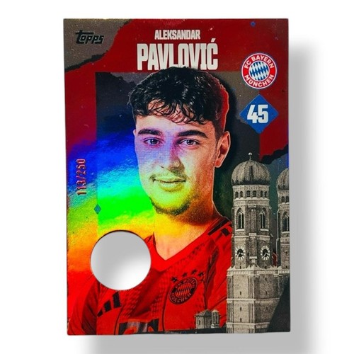 Aleksandr pavlovic 250 - pavlovic, player