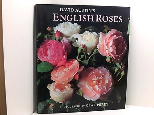 David austin english - david, austin's