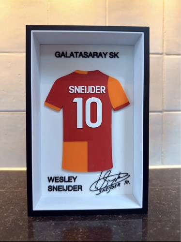 Sneijder galatasaray sk - nr.,