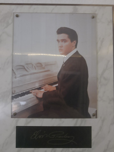 Elvis presley foto - elvis, mit