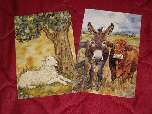 Postkarten 2er set farm - 2er, *