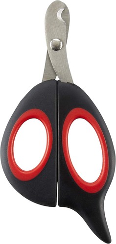 Mikki interpet 6376154 - mikki,