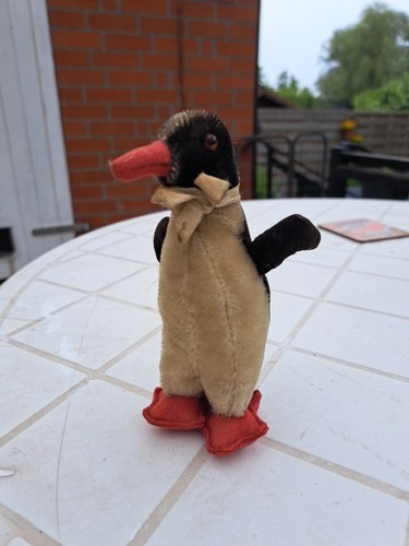 Steif pinguin dachbodenfund - steif,