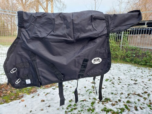 Neue shetty pony - neue, shetty/pony