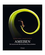 Ameisen, Campbell, Heather