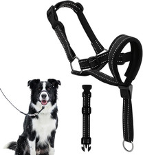Halti Für Große Hunde