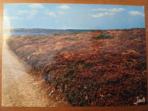Postkarte 3291 gelaufen