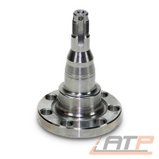 ACHSSCHENKEL ACHSZAPFEN HINTEN FÜR VW PASSAT 35I 1.6-2.0 POLO 6N 6N1 1.0-1.7 6N2