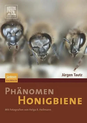 Phänomen honigbiene von - phänomen,