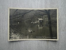 AK Crimmitschau SAHNPARK