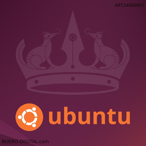 Ubuntu lts linux - 24.04,