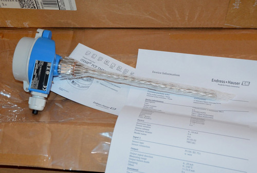 Endress hauser - +,