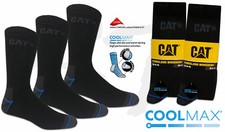 Paar cat caterpillar - caterpillar, &