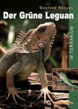 Der Grüne Leguan im Terrarium von Köhler, Gunther | Buch | Zustand sehr gut