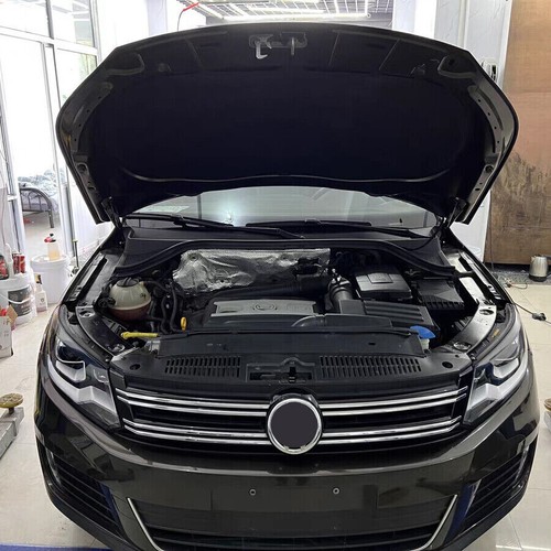 Motorhaubenlifter gasfeder - ,
