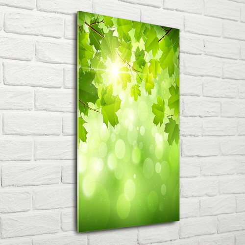 Wandbild druck auf plexiglas - auf, plexiglas®