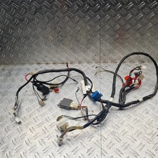 Kabelbaum Rex RS 450/500 China Roller GY6 Orig. #29724