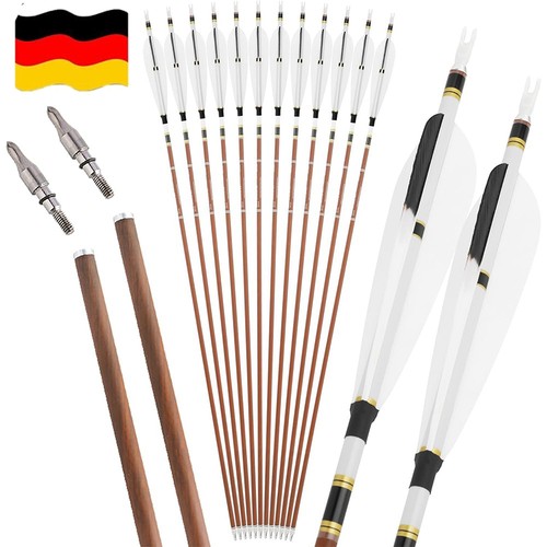 12x 31zoll carbon pfeile - 12x,