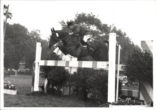 Foto springreiten sprung - foto,