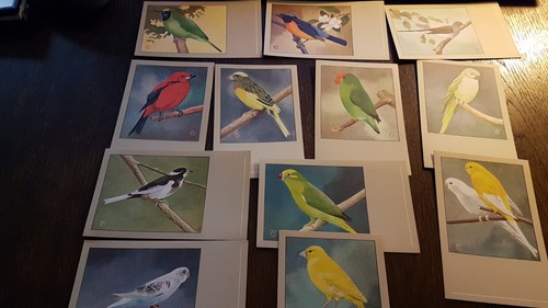 Sluis birdfood - n., v.