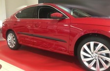 Türschutzleisten passend für