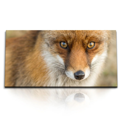 120x80cm kunstdruck bilder - kunstdruck,