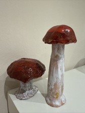 2 verschiedene  Pilze, Pilz