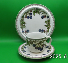 Porzellan Kaffee-Gedeck 3tlg. Serie Blackberry  Goebel OPM Oeslauer Manufaktur