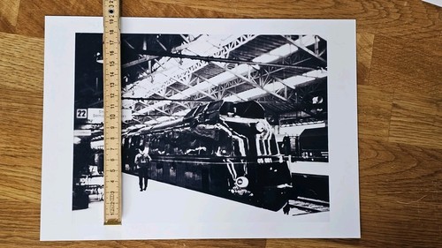 Fotografie der - hd,