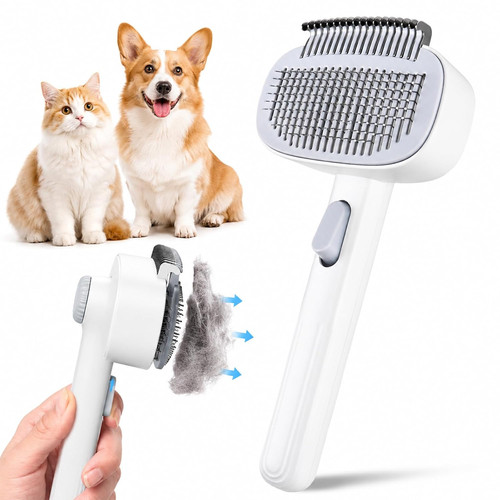 Katzenbürste - , &