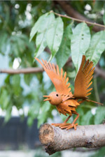  Edelrost Garten Vogel