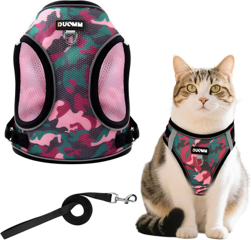 Katzen geschirr set mit leine - mit,