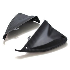 Carbon Seitenverkleidung