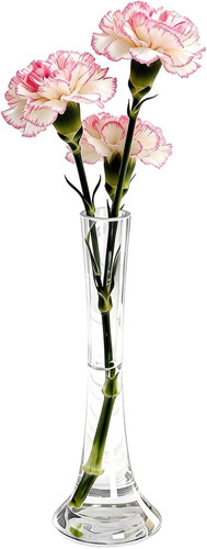 Hohe transparente - cm,
