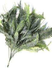 Farn Strauß Farnwedel