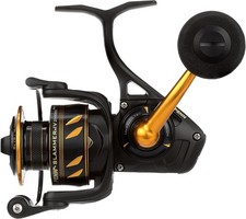 PENN International Spinnrolle