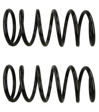 Fahrwerksfedern HA für LAND