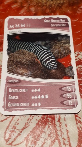 Ozeanien schätze unseres - ozeanien,