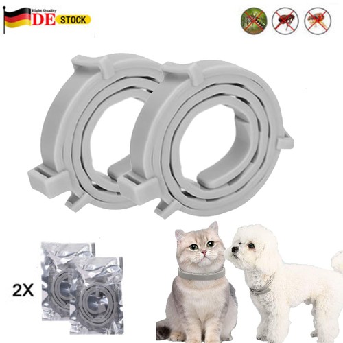 2pcs hund halsband katzen - 2pcs,