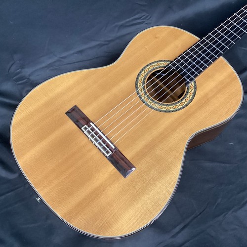 Takamine 310 - takamine, pt-310
