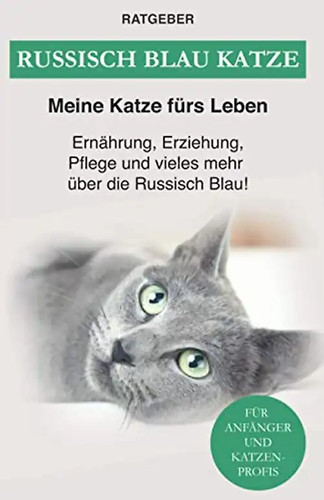 Russisch blau katze - blau,