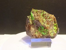 Autxxnit auf Hornfels (Bergen, Vogtland)