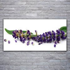 Wandbilder Glasbilder Druck